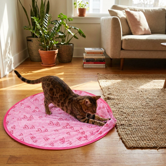 Lifestyle product image
